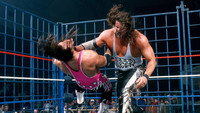 «WWF В твоем доме: Ярость в клетке (1996)» — обои к фильму #1