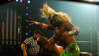 The Wrestler