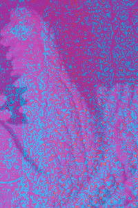 Imagem do Filme Jeb Rex Memorial Video