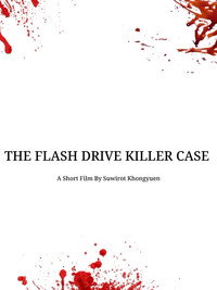 The flash drive killer case