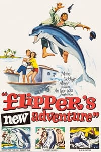 Poster de Flipper y los piratas