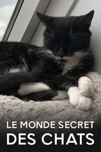 Le Monde secret des chats (2021)