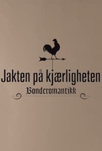 Jakten på kjærligheten (2004)