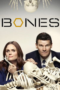 Постер сериала «Кости (2005 - 2017)» — (2 из 181)