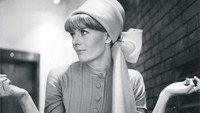 «Морган: Подходящий клинический случай (1966)» — обои к фильму #1