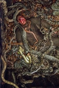 movie-images