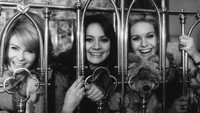 «The Pleasure Girls (1965)» — обои к фильму #2