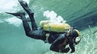 Was macht ein Taucher im Aquarium?