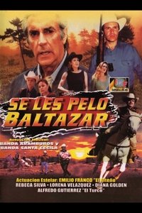 Poster de Se les pelo Baltazar
