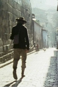 Le petit touriste (1975) poster