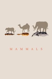 copertina serie tv Mammals 2024