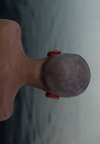 Постер фильма «Такой пейзаж (2013)» — (1 из 1)