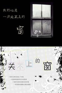 关不上的窗 (2009)