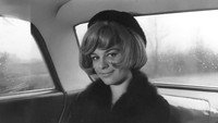 «Damgali kadin (1966)» — обои к фильму #1