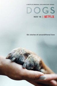 Постер сериала «Друг человека (2018)» — (2 из 7)