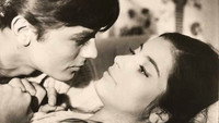 «Слабые женщины (1959)» — обои к фильму #5