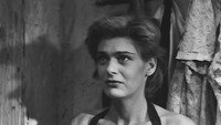 Обои к фильму «Стелла (1955)» — (13 из 19)