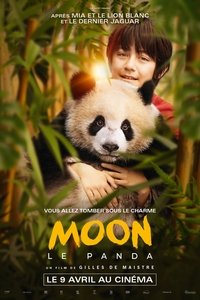 movie-images