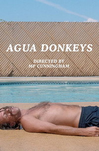 Постер фильма «Agua Donkeys (2018)» — (1 из 2)