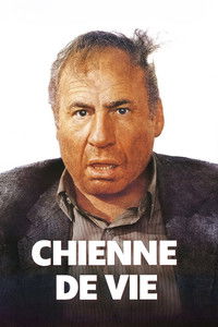 Affiche de la recommandation : Chienne de vie