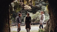 «Сверчки (2006)» — обои к фильму #3