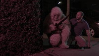 «Another Yeti a Love Story: Life on the Streets (2017)» — обои к фильму #1