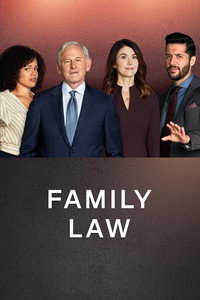 Постер сериала «Семейная юрфирма (2021)» — (5 из 29)