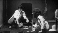 «Бледный цветок (1964)» — обои к фильму #3