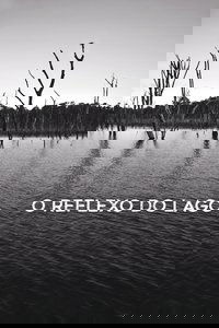 Imagem do Filme O Reflexo do Lago