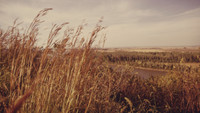 «America's Lost Landscape: The Tallgrass Prairie (2005)» — обои к фильму #1