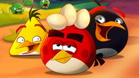 «Angry Birds. Сердитые птички (2013)» — обои к мультсериалу #3