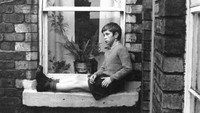 «Моя родня (1973)» — обои к фильму #1
