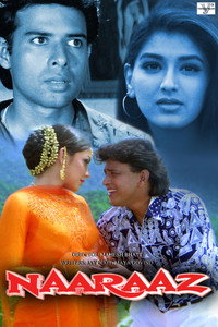 Постер фильма «Защитник обездоленных (1994)» — (3 из 4)