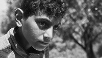 «Все вы капитаны (2010)» — обои к фильму #1