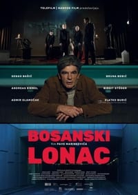 Bosanski lonac