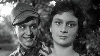 «Часы надежды (1955)» — обои к фильму #8