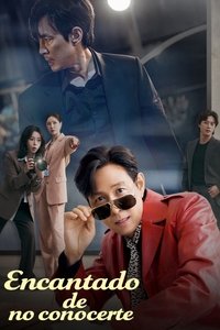 Poster de Encantado de no conocerte