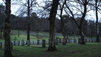 «Sideworld: Haunted Forests of England (2022)» — обои к фильму #1