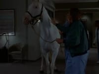 S01E07 - (1994)