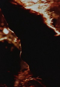 Постер фильма «Duplicity III (1980)» — (7 из 9)