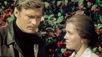 «Приезжая (1977)» — обои к фильму #1