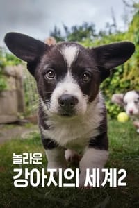 놀라운 강아지의 세계 (2018)