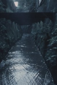 六月の森・七月の沼