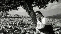 «Девушка и дуб (1955)» — обои к фильму #3