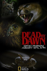 Постер сериала «Dead by Dawn (2019)» — (2 из 12)