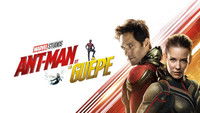 Ant-Man et la Guêpe