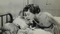 «An Annapolis Story (1955)» — обои к фильму #1
