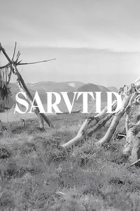 Time for Common Rudd