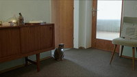 «Nachts sind alle Katzen grau (2019)» — обои к фильму #1