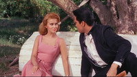 Обои к фильму «Да здравствует Лас-Вегас (1964)» — (12 из 14)